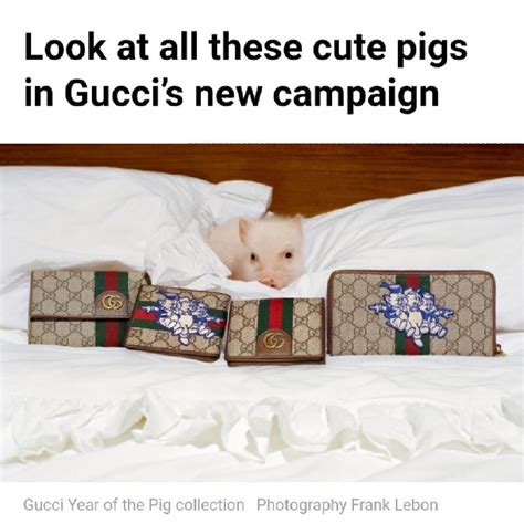 gucci little piggy|this little piggy went to Gucci.